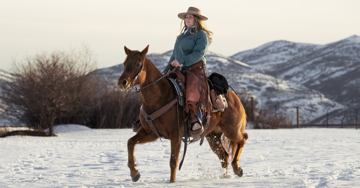 Seasonal Horse Care: Adapting to Winter Weather